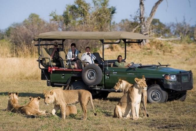 Observing Wildlife at Chobe National Park - © Medium