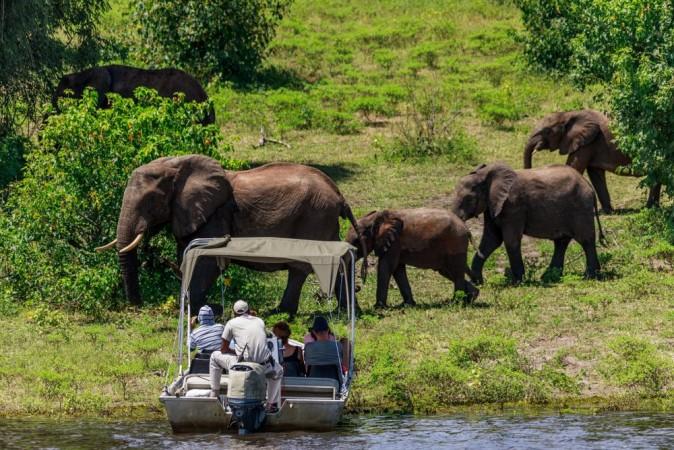 Safari Tours at Chobe National Park - © The Global Alliance of National Parks