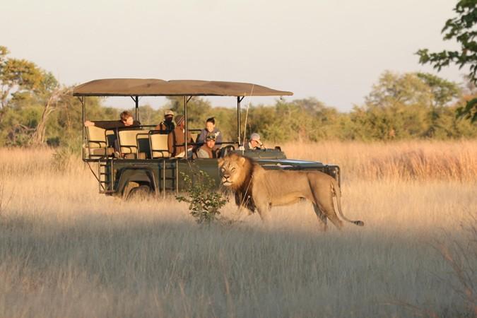 Safari Tours in Hwange National Park - © Zimbabwe Tourism