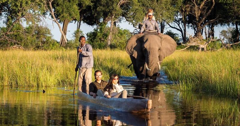 Experience the unique Okavango Delta safari - © Okavango Delta Official