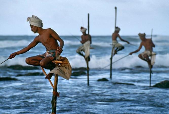 Witness Stilt Fishing In Sri Lanka: An Eco-Tourism Experience