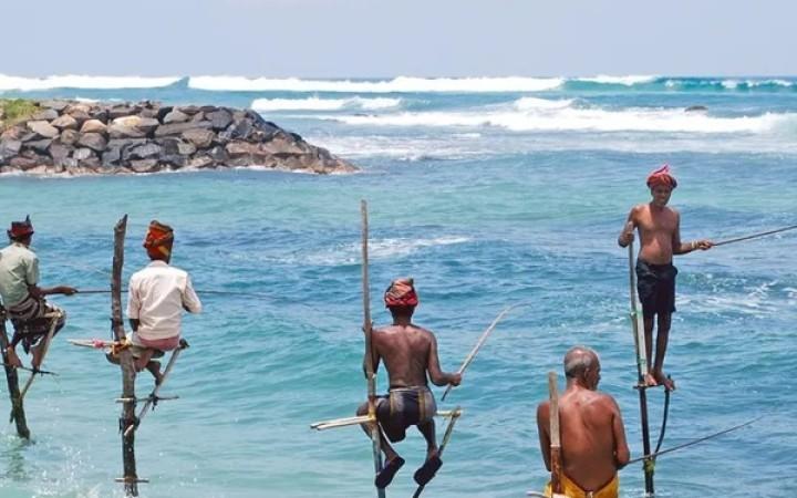 Stilt fishing in during sunrise
