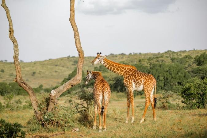 Arusha National Park - © Moses Londo