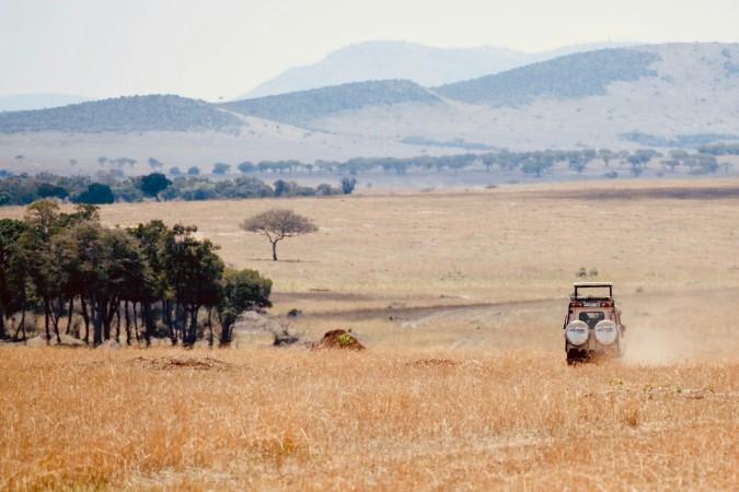 Safari Excursions in Serengeti National Park - © ray rui