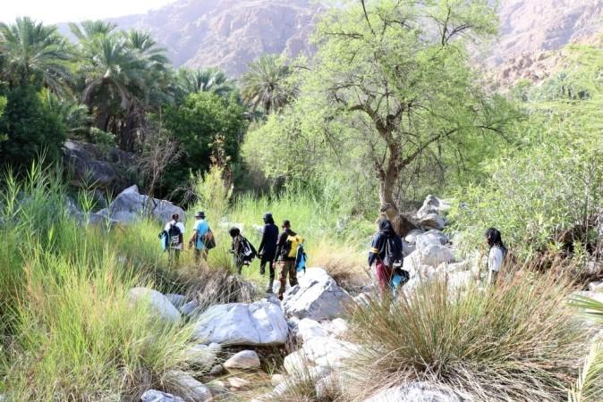 Explore the natural beauty of Bayt al Awabi - © The Arabian Stories