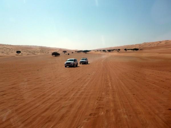 Desert Safari in Madha al Jadidah - © C Ze