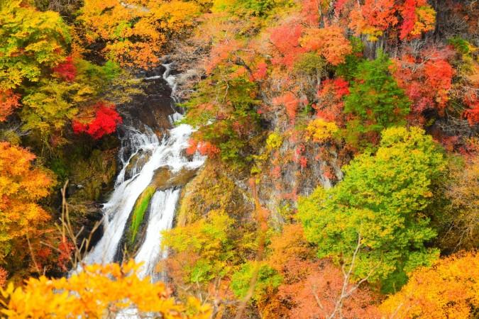 Witness the beauty of Autumn in Nikko at Nikko Kirifuri waterfalls - © Pratik Bisht