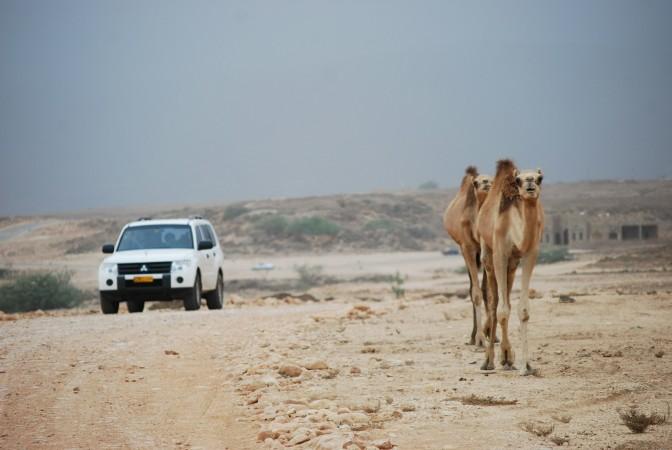 Explore Salalah - Oman Travel, Asia