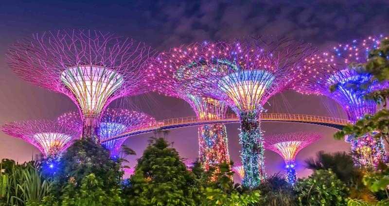 Gardens by the Bay - © gather