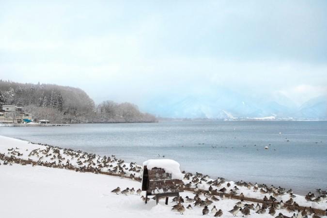 Winter in Lake Inawashiro, Fukushima by Phurichaya Kitticharin