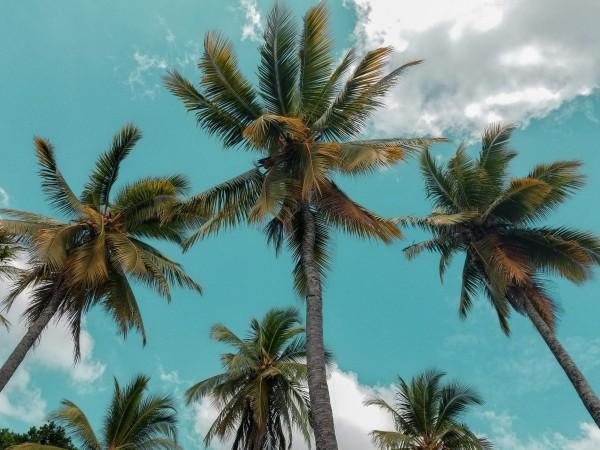 Clear day on Bentota Beach by Bacpacman