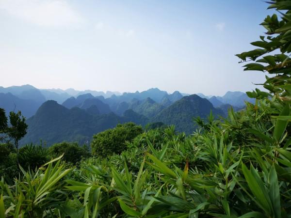 Cat Ba National Park by Cassie Smart
