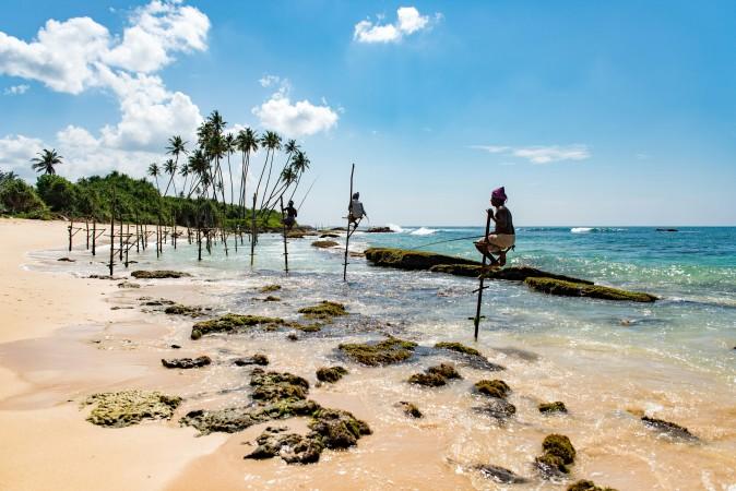 Stilt Fishing in Mirissa by Daniel Klein