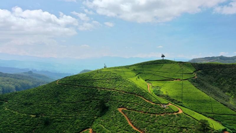 Visit tea hills of Nuwara Eliya by Juho S