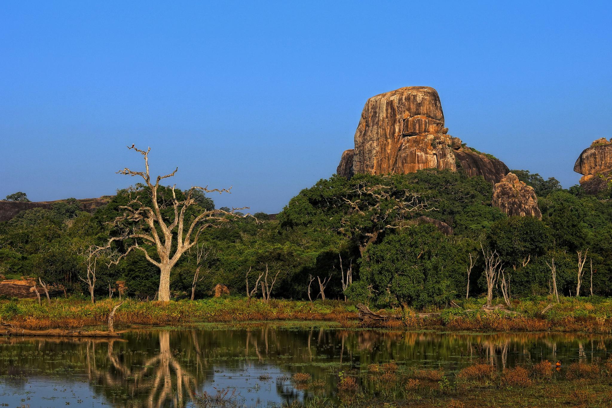 Explore Yala National Park - Sri Lanka Travel, Asia