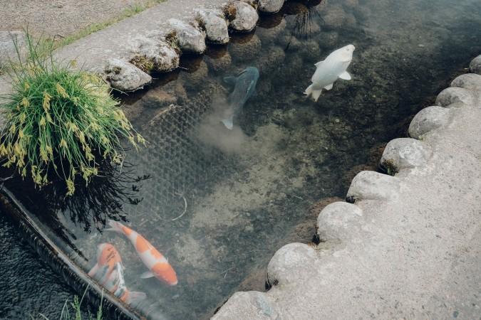 Explore Shirakawa-go - Japan Travel, Asia