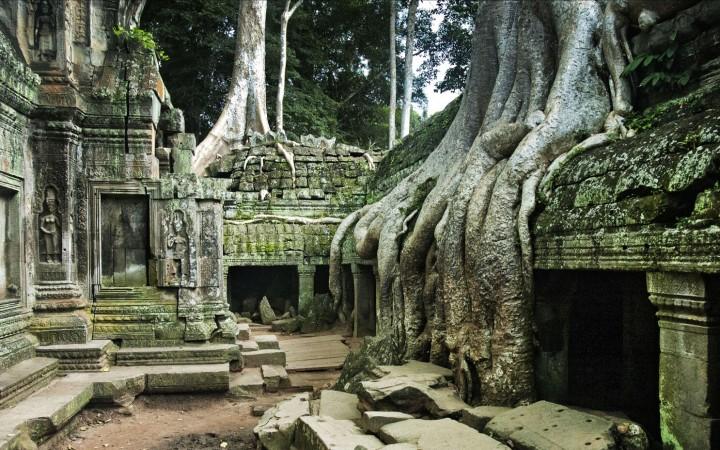 Ta Prohm - © Tinhte
