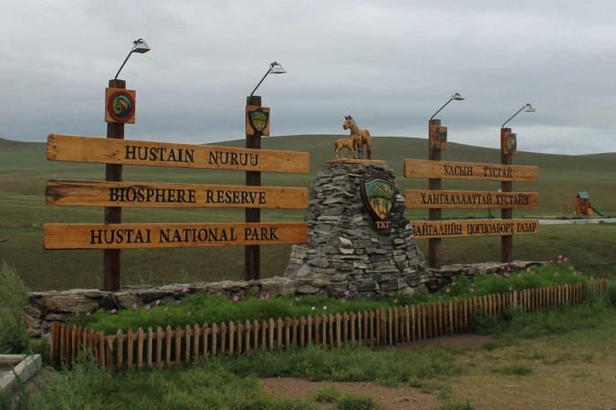 Activities in Hustai National Park - ©  Jenny Sandiford