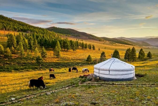 Plan A Memorable Camping and Trekking Adventure in Mongolia