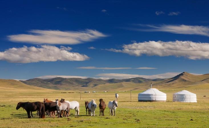 Mongolian steppes
